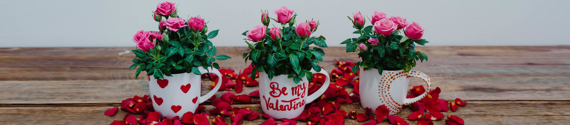 Loving - Coffee or Tea Time with roses